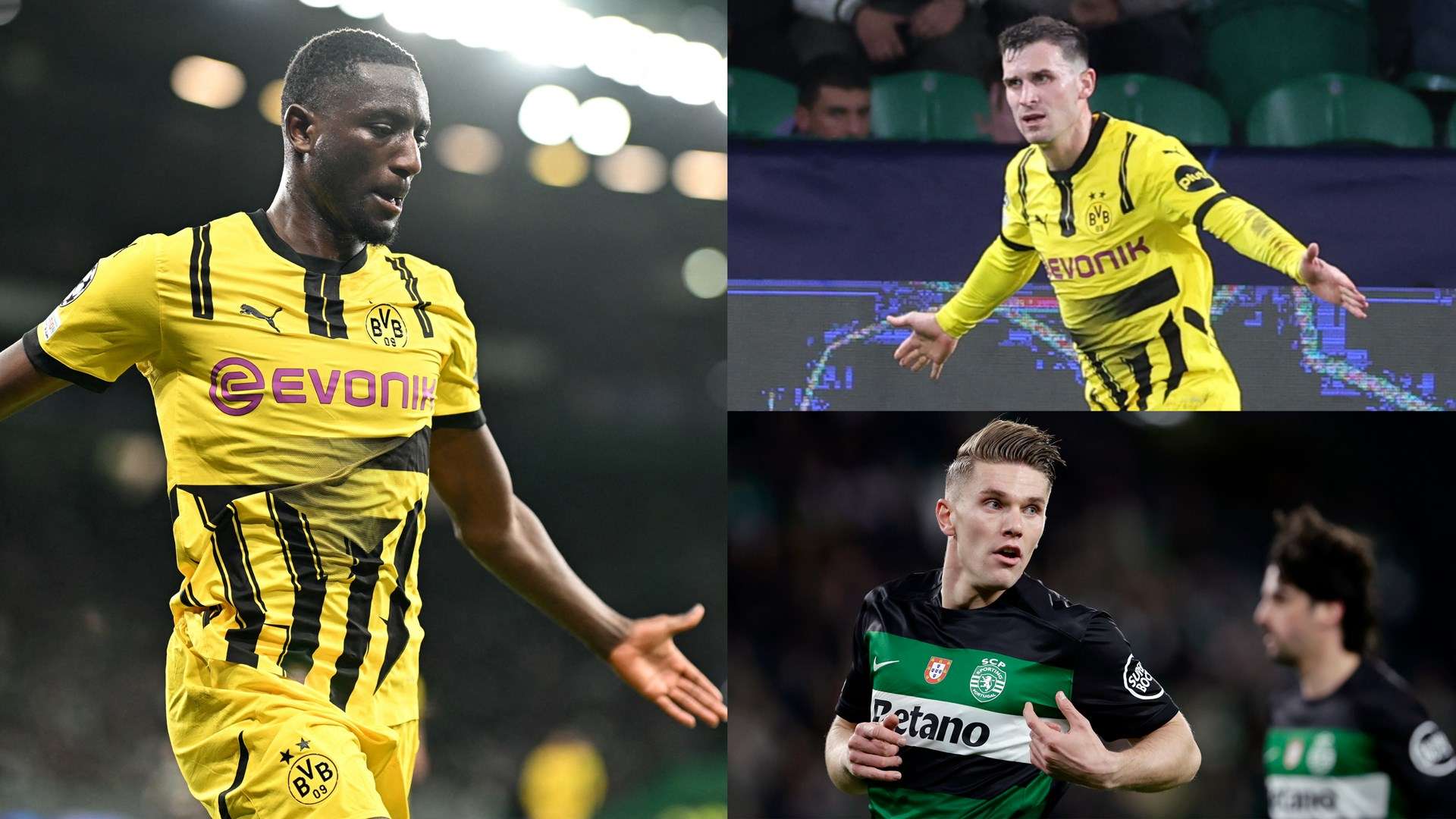 理体系亟需 理体系亟需